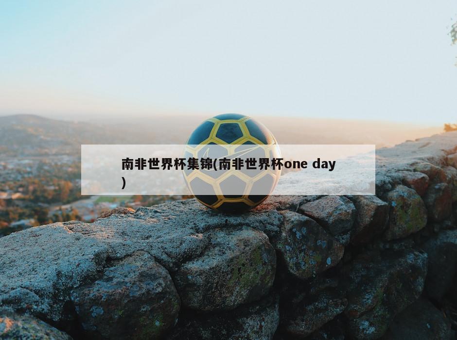 南非世界杯集锦(南非世界杯one day)