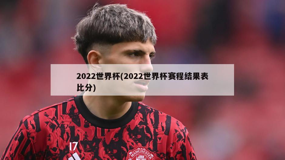 2022世界杯(2022世界杯赛程结果表比分)