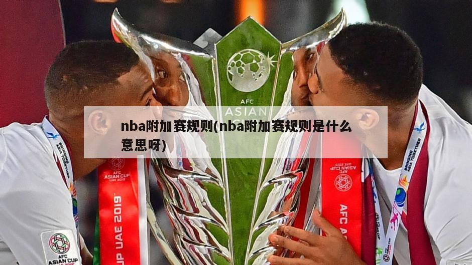 nba附加赛规则(nba附加赛规则是什么意思呀)