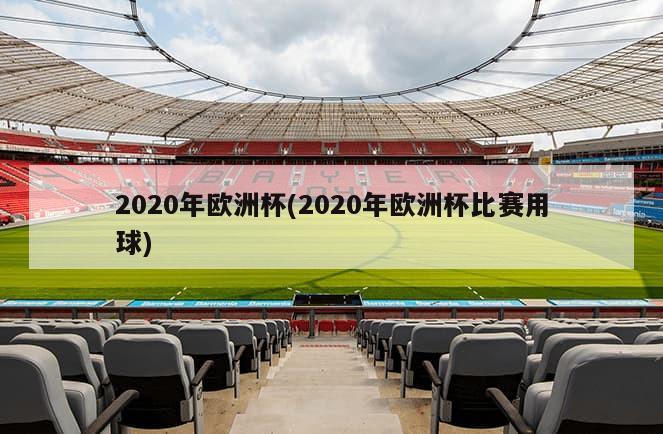 2020年欧洲杯(2020年欧洲杯比赛用球)